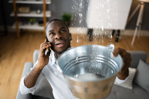 Best Commercial water damage restoration  in Cocoa, FL