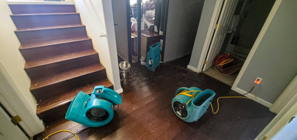 Best Flooded house restoration  in Cocoa, FL