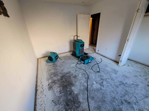 Best Professional water damage repair  in Cocoa, FL