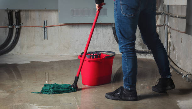 Best Water damage contractors near me  in Cocoa, FL
