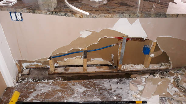 Best Basement water damage restoration  in Cocoa, FL