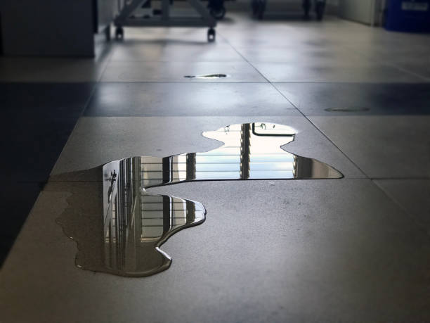 Best Water damage restoration services  in Cocoa, FL