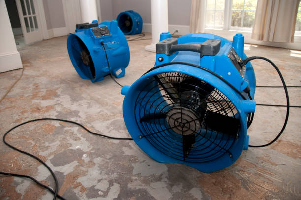 Best Water damage cleanup near me  in Cocoa, FL