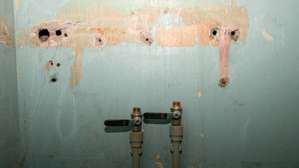 Best Commercial water damage restoration  in Cocoa, FL