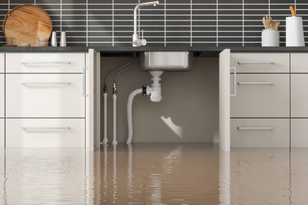 Best Ceiling water damage repair  in Cocoa, FL