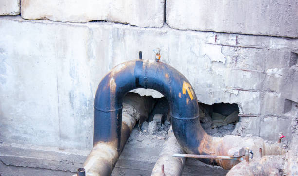 Best Sewage cleanup and water damage restoration  in Cocoa, FL
