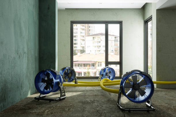  Cocoa, FL Water damage restoration Pros