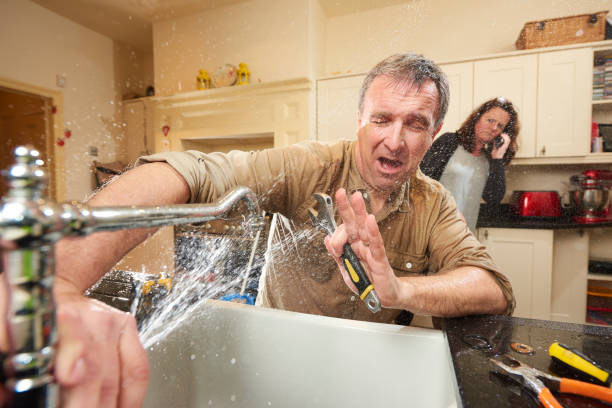 Best Mold removal after water damage  in Cocoa, FL